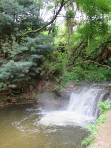 The waterfall at Kerosene Creek