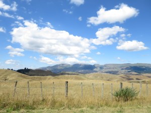 Lovely views on the way to Hawkes Bay