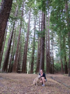 Sonia and Fly amongst the big redwoods