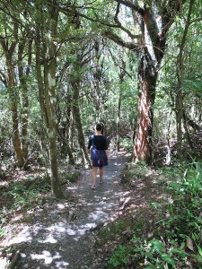 Sonia walking through the shade of the forest