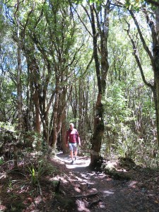 Rich walking through the never ending forest