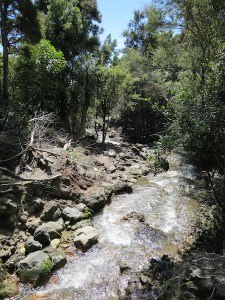 The final stream crossing before reaching the end of the walk
