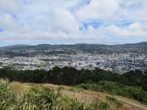The heart of Wellington CBD from above