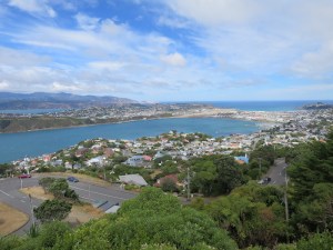 View of the airport across the water