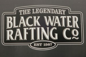 Our tour guide company for the day