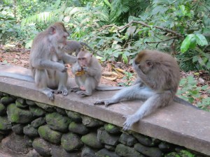 Someone's unhappy they don't have a banana!