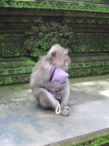 Someone's got a new purse