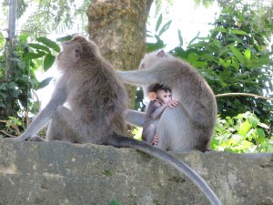There's always time for preening