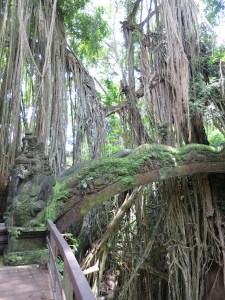 One of the Monkey Forest bridges