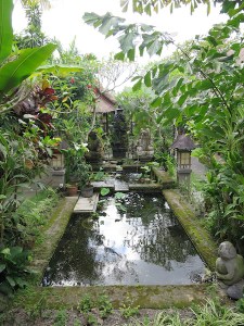 Rich's lunch spot pond in Ubud