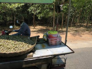 A basket of snails being driven along the road - they'll be cooked and sold as street food