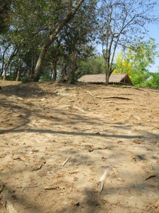 Examples of bones becoming visible on the surface of the ground