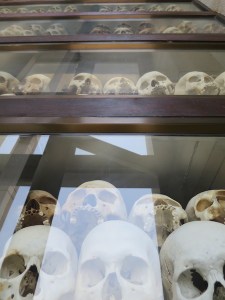 Skulls of the bodies exhumed from graves on display in the stupa