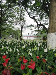 Beautiful flower beds around Hoan Kiem Lake