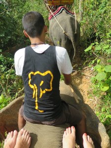 Our elephant guide sat up front