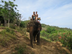 The Lambs elephant trekking