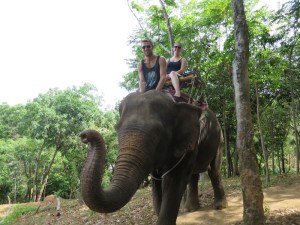 Everyone enjoying the elephant ride