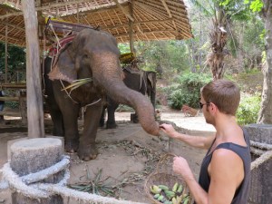 Rich feeding the elephant bananas after our trek