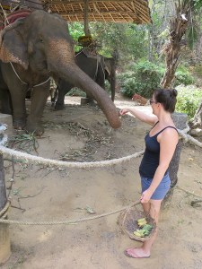 Sonia feeding the elephant bananas