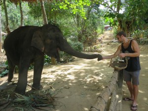 Rich feeding a baby elephant