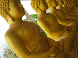 There were hundreds of Buddha's decorated around the grounds of Big Buddha
