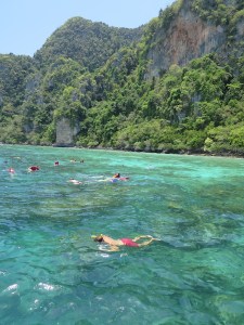 Rich snorkelling with the fish