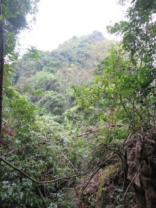 Great views along the hike