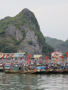 Fishing boats lined up in Cat Ba City harbour