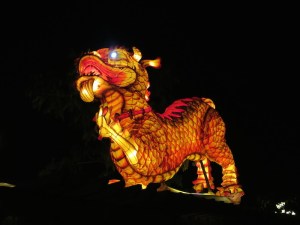 Vietnamese dragon lit up
