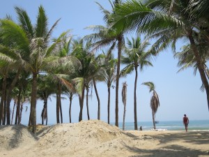 Rich amongst the palm trees at Cua Dai beach
