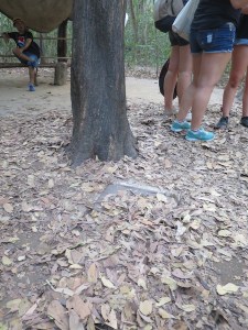 Rich inside the tunnel and nowhere to be seen!