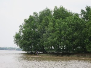 Fisherman carrying a trap
