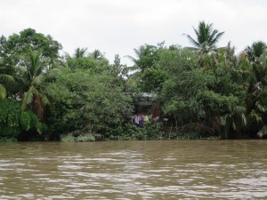 Clothes drying on the line