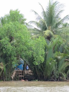 Bathing in the river