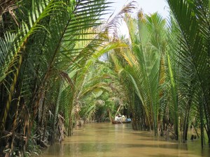 Such a lovely view from our rowing boat