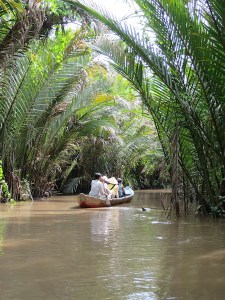 Rowing up the creek