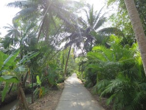 Walking to the fruit plantation