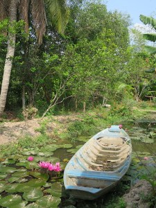 Pretty views around the fruit plantation