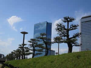 Tree lined walk to Osaka Castle