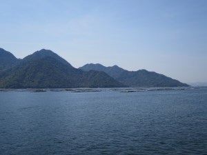 Oyster farm around Miyajima island