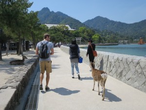 Wild deer roamed the streets