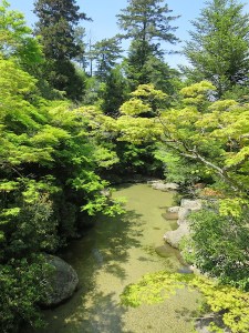 Stunning grounds at Momijidani Park